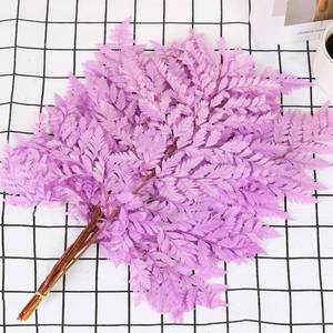 lot 3898 image: 10 Pcs Preserved Purple Fern Stems, 15 for Wedding Centerpiece Decor  Dried Boston Fern, Dried Flowers Arrangements, Real Leaves Bouquets, Home Party Centerpiece, Table Decorations, Vase Filler