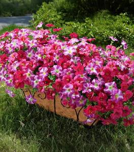 lot 3901 image: Artificial Flowers for Outdoors Fake Plants Outside Decoration, 20 Bundles Silk Petunia with Eucalyptus UV Resistant Realistic Faux Flowers for Outdoor Planters Garden Balcony Yard Porch Patio, Mix
