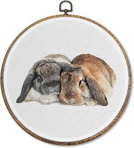 lot 3985 image: Pugwak Vintage Bunny Round Wall Art Decor, Rustic Farmhouse Bunny Canvas Art Framed, Neutral Sleeping Rabbit Artwork Wall Hanging Decor for Home Bedroom Living Room, 10x10in