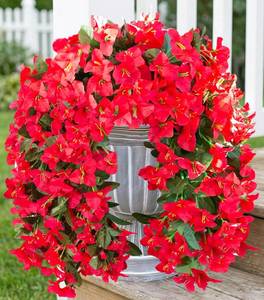 lot 4051 image: 2 PCS Bougainvillea Artificial Hanging Flowers Plants for Outdoors, Red  Fake Flower, Silk Bougainvillea Vines Realistic, UV Resistant, Faux Flowers for Outdoor Planters Porch Patio