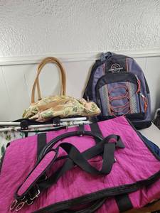 lot 234 image: Lot Backpacks Carpetbags High Trails Biaggi Travel Bags