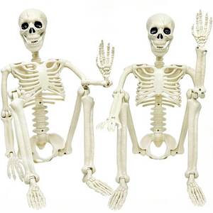 lot 19284 image: 2 Pack 36in Posable Plastic Skeleton Halloween Decor - 3 ft Halloween Decor