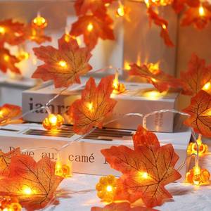 lot 19315 image: CESOF 2 Pack Fall Decorations for Home Fall String Lights Total 20ft 40 LED