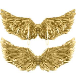 lot 60260 image: Jenaai 2 Pieces Halloween Angel Wings Costume Feather Angel Wings with Elastic Straps Cosplay Wing for Halloween Costume Party Women(Gold)