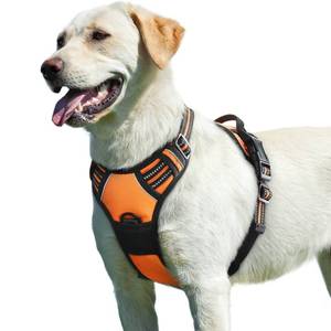lot 7954 image: Eagloo Dog Harness for Large Dogs, No Pull Pet Vest with 2 Leash Clips - L