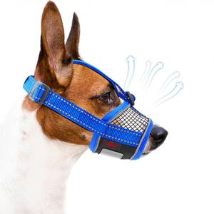 lot 8038 image: XipDoger Dog Muzzle,Soft Mesh Breathable Muzzle, Air Mesh Dog Muzzle with Reflective & Adjustable Strap for for Biting Chewing Grooming,Allow Panting Drinking,Dog Muzzle for Medium (Blue, L)