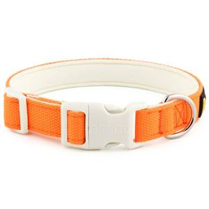 lot 8049 image: Plutus Pet Cotton Dog Collar, Heavy Duty Collar with Soft Padding, Adjustable and Comfortable for Small Medium and Large Dogs, Light Green, L