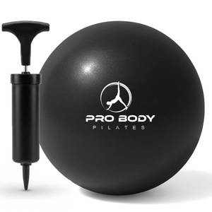lot 58793 image: ProBody Pilates Small Exercise Ball with Pump - 9 Inch Workout Ball for Stability, Barre, Yoga, Core & Physical Therapy, Home Gym & Office Use (Black) - Retail $15
