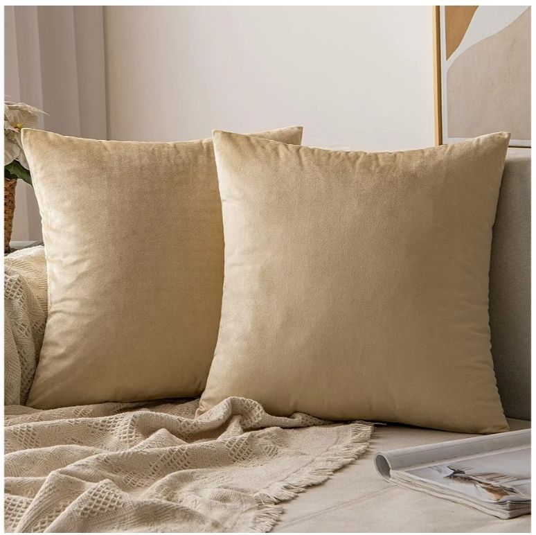 lot 58473 image: MIULEE Velvet Throw Pillow Covers 18x18 Inch, Pack of 2 -Beige, Soft Solid Decorative Pillow Covers Square Cushion Cases Farmhouse Modern Home Decor for Spring Couch Sofa Bedroom Living Room - Retail $15
