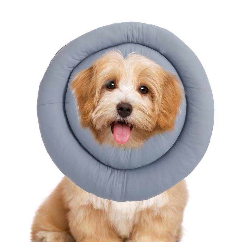 lot 17806 image: Soft Donut E-Collar Cone for Small Dogs & Cats, Waterproof Adjustable Recovery Protector After Surgery, Comfy Anti-Lick Bite Scratch Wound Guard - Retail $14