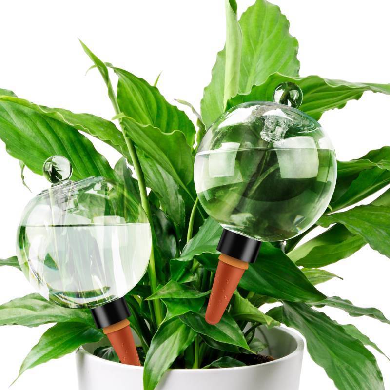 lot 17922 image: 19 oz Extra Large Plant Self Watering Globes Top Fill, Plastic Water Bulbs, Slow Release Terracotta Self Watering Planter Insert, Plant Watering Devices System, Water Spikes Stakes, 2 Pack - Retail $23