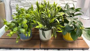 lot 272 image: Mainstays Faux Floral Plant Lot of 6 Potted Indoor Decorative Plants
