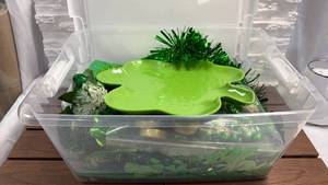 lot 315 image: St. Patrick��s Day ��Party Lot - ��Party Plate, Streamers, Napkins, Tinsel and Coins