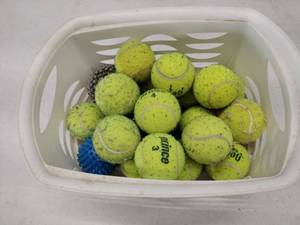 lot 24867 image: Tote of Dog Toy Tennis Balls