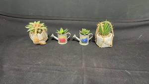 lot 7844 image: Lot of 4 Succulent Plants in Decorative Containers with Watering Cans