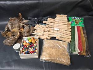 lot 602 image: Wooden Clothespins, Fuzzy Sticks, Beads, and Feathers