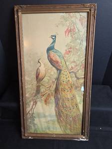 lot 558 image: Vintage Framed Peacock Bird Print with Floral Background