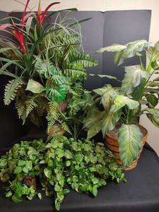 lot 851 image: Faux Plants