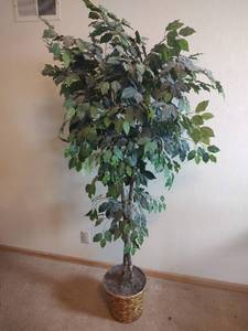 lot 862 image: Faux Potted Plant Tree with Woven Basket Planter, 6 ft