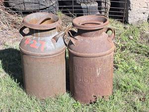 lot 1217 image: 2 Milk Cans with Lids