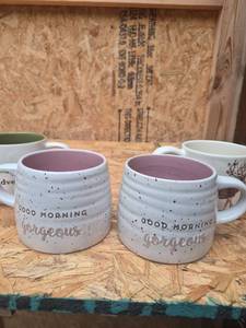 lot 323 image: Ceramic Coffee Mugs Set of 4 Speckled Good Morning Gorgeous Adventure