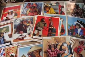 lot 2782 image: 1960s Chimpanzee Prints