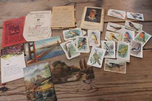 lot 2906 image: Antique Bird Cards and More