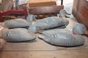 lot 3019 image: Soft Rubber Duck Decoys
