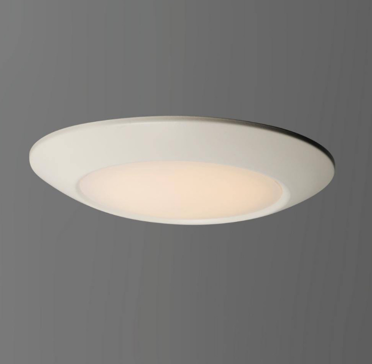 lot 545 image: Diverse 9 In. LED Light Bulb Included Flush Mount 4000K