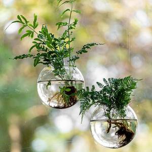 lot 8766 image: Window Propagation Stations, Oblate Glass Terrariums with Suction Cup Hooks