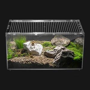 lot 8792 image: Reptile PC Tank Escape-Proof Magnetic Lid Tarantula Enclosure (Small)