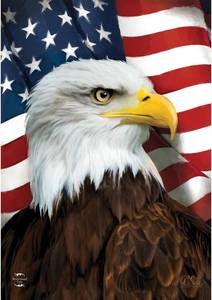 lot 12708 image: Briarwood Lane American Eagle Patriotic Garden Flag