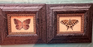 lot 412 image: Framed Butterfly Wall Art