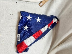lot 36706 image: American Flag