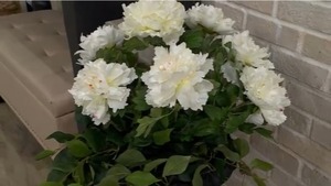 lot 1104 image: Indoor Outdoor Peony Deluxe Urn Filler by Valerie