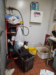lot 21714 image: Commercial Kitchen Mop Bucket &amp Wringer Station