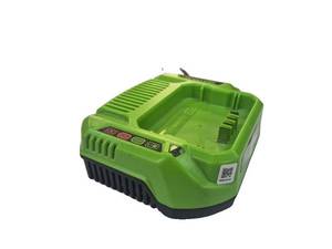 lot 182 image: Greenworks Pro 80V  Rapid Charger