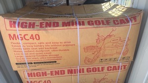 lot 1223 image: High-End MINI Golf Cart MGC40
