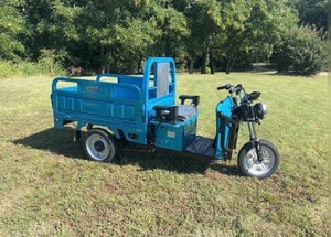 lot 1147 image: Unused 2026 IRET13 Electric Tuk Tuk - Color options - Black, Dark Green, Gray, Blue