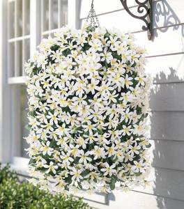 lot 3015 image: Hoppwodd Artificial Flower for Outdoors 4pcs Fake Lily Hanging Flower Baskets for Outside UV Resistant Silk Faux Long Trailing Vines for Garden Porch Patio, White