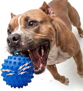 lot 40111 image: Bacon Flavored Indestructible Squeaky Ball for Aggressive Chewers  Durable Dog Toys, Chew Toys for Medium & Large Breeds, Relieving Anxiety, Cleans Teeth, Natural Rubber Dog Balls COLOR IS PINK