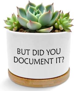 lot 40123 image: But Did You Document It Funny Plant Pots Succulent Planters  Sarcastic Gifts for Women Men Coworkers, Ceramic Plant Flower Pots for Home Office Desk Table Shelf(No Plants)(A)