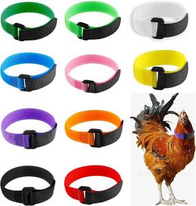 lot 21390 image: 10 Pcs No Crow Rooster Collar for Roosters Cockerel Nylon Rooster Collar to Stop Crowing Prevent Chicken from Screaming or Disturbing Neighbors