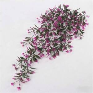 lot 26462 image: Orange Flowers Wall Hanging Rattan Indoor Decoration Chlorophytum Comosum