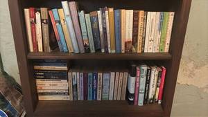 lot 106 image: Do you LOVE To Read Good Titles & Authors