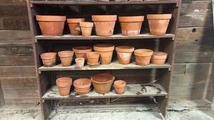 lot 300 image: Terracotta Pots