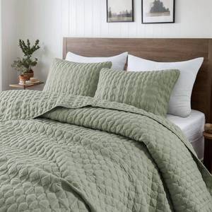 lot 442154 image: WDCOZY Sage Green Quilt Twin Size Bedding Sets with 1 Pillow Sham, Lightweight Soft Bedspread Coverlet, Twin XL Thin Comforter Bed Cover, All Season Spring Summer, 2 Pieces, 68x90 inches