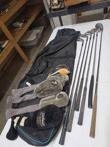 lot 767 image: Golf Iron Set with Bag and Headcovers 7 Clubs - mixed brands right handed