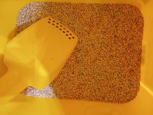lot 2009 image: Bird Seed.  Bucket has about 3.5in. inside