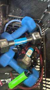 lot 2321 image: Fitness Gear Dumbbell Set 5 lb Pair Blue with Green Handles